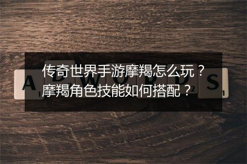 传奇世界手游摩羯怎么玩？摩羯角色技能如何搭配？