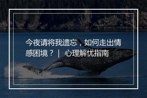 今夜请将我遗忘，如何走出情感困境？｜ 心理解忧指南