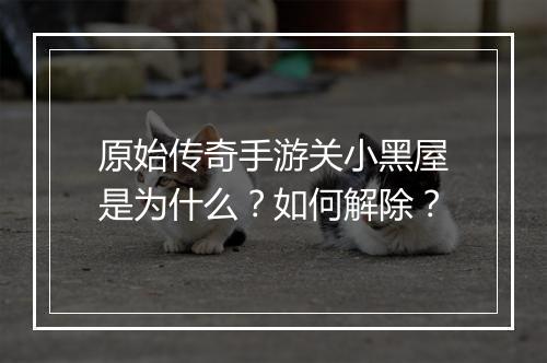 原始传奇手游关小黑屋是为什么？如何解除？