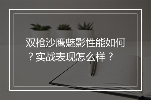 双枪沙鹰魅影性能如何？实战表现怎么样？