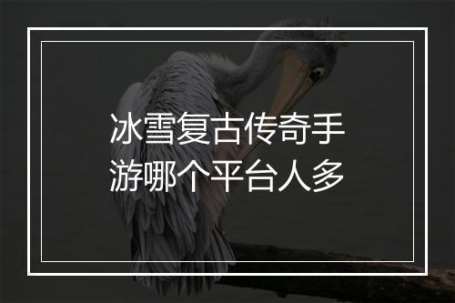冰雪复古传奇手游哪个平台人多