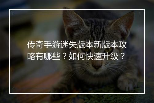 传奇手游迷失版本新版本攻略有哪些？如何快速升级？