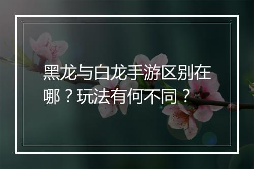 黑龙与白龙手游区别在哪？玩法有何不同？