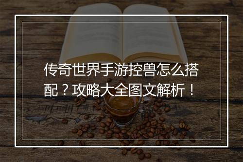 传奇世界手游控兽怎么搭配？攻略大全图文解析！