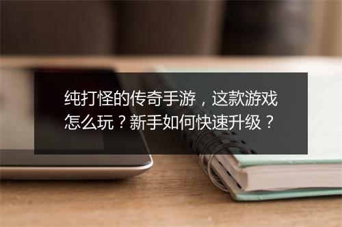 纯打怪的传奇手游，这款游戏怎么玩？新手如何快速升级？
