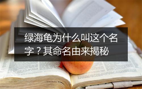 绿海龟为什么叫这个名字？其命名由来揭秘