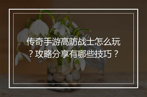 传奇手游高防战士怎么玩？攻略分享有哪些技巧？