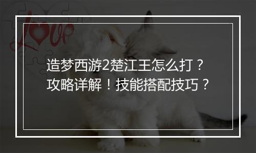 造梦西游2楚江王怎么打？攻略详解！技能搭配技巧？