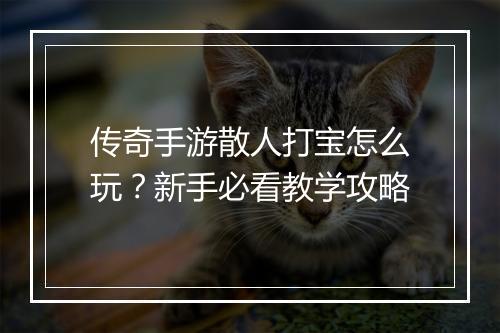 传奇手游散人打宝怎么玩？新手必看教学攻略