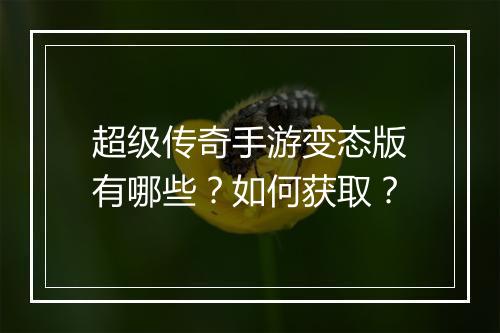 超级传奇手游变态版有哪些？如何获取？