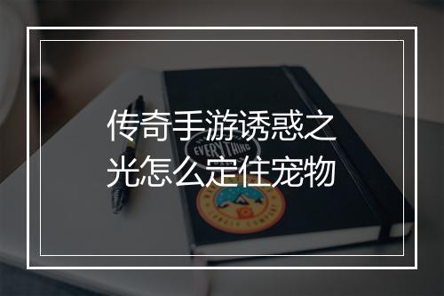 传奇手游诱惑之光怎么定住宠物