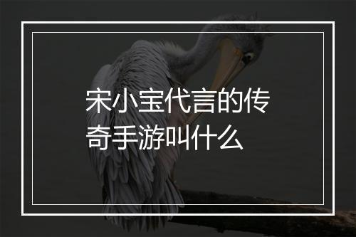 宋小宝代言的传奇手游叫什么