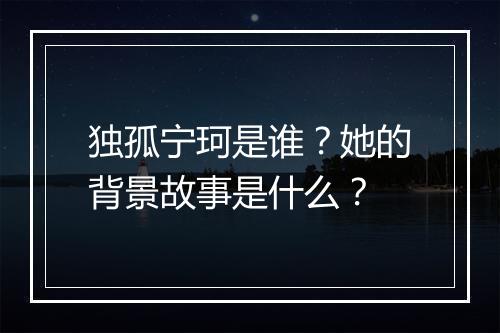 独孤宁珂是谁？她的背景故事是什么？