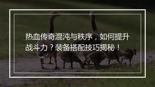 热血传奇混沌与秩序，如何提升战斗力？装备搭配技巧揭秘！