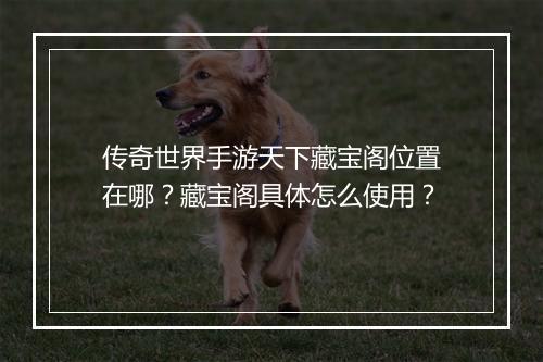 传奇世界手游天下藏宝阁位置在哪？藏宝阁具体怎么使用？