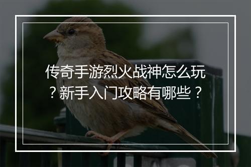 传奇手游烈火战神怎么玩？新手入门攻略有哪些？