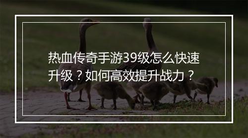 热血传奇手游39级怎么快速升级？如何高效提升战力？
