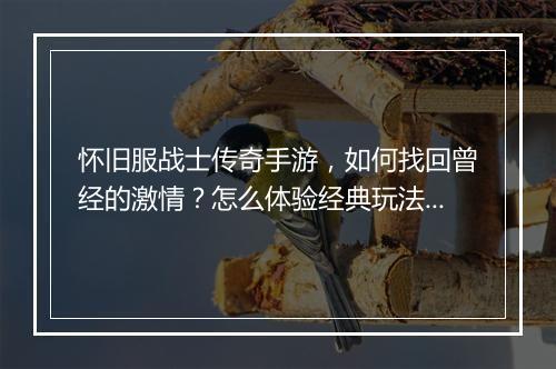 怀旧服战士传奇手游，如何找回曾经的激情？怎么体验经典玩法？