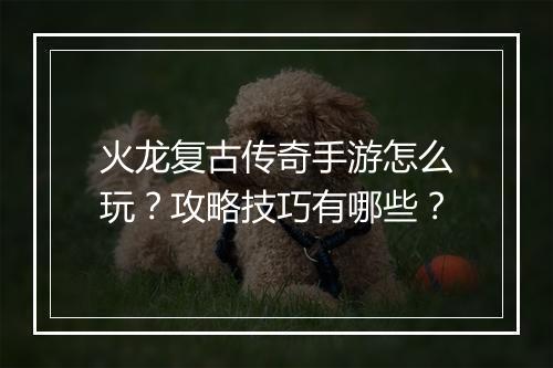 火龙复古传奇手游怎么玩？攻略技巧有哪些？