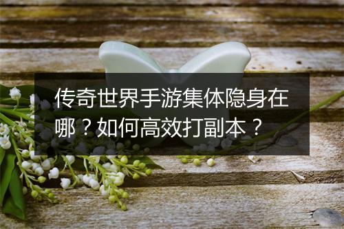 传奇世界手游集体隐身在哪？如何高效打副本？