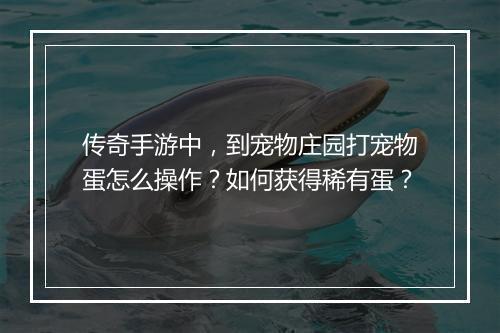 传奇手游中，到宠物庄园打宠物蛋怎么操作？如何获得稀有蛋？