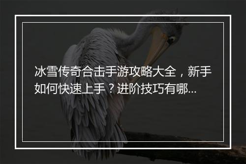 冰雪传奇合击手游攻略大全，新手如何快速上手？进阶技巧有哪些？
