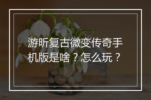游昕复古微变传奇手机版是啥？怎么玩？