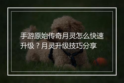 手游原始传奇月灵怎么快速升级？月灵升级技巧分享