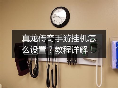真龙传奇手游挂机怎么设置？教程详解！