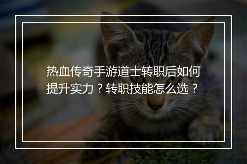 热血传奇手游道士转职后如何提升实力？转职技能怎么选？