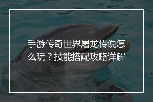 手游传奇世界屠龙传说怎么玩？技能搭配攻略详解