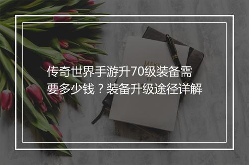 传奇世界手游升70级装备需要多少钱？装备升级途径详解