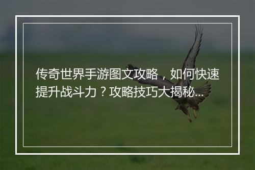 传奇世界手游图文攻略，如何快速提升战斗力？攻略技巧大揭秘！