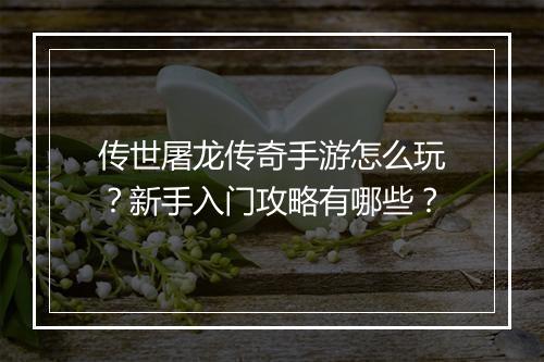 传世屠龙传奇手游怎么玩？新手入门攻略有哪些？