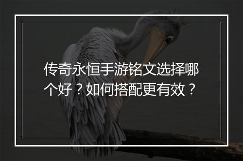 传奇永恒手游铭文选择哪个好？如何搭配更有效？