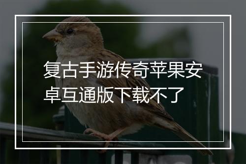 复古手游传奇苹果安卓互通版下载不了