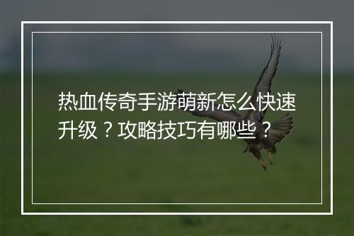热血传奇手游萌新怎么快速升级？攻略技巧有哪些？