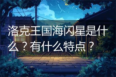 洛克王国海闪星是什么？有什么特点？