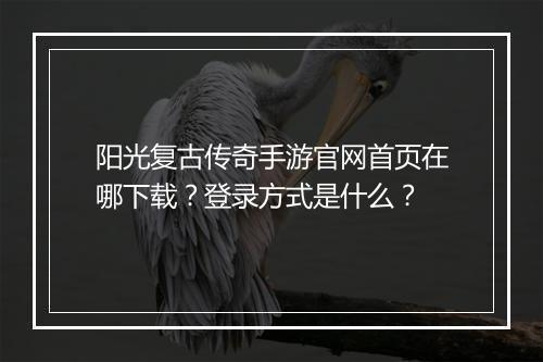 阳光复古传奇手游官网首页在哪下载？登录方式是什么？