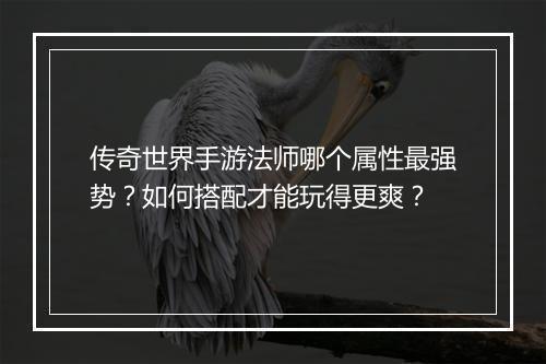 传奇世界手游法师哪个属性最强势？如何搭配才能玩得更爽？