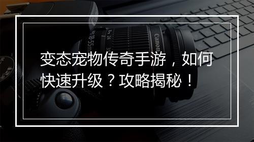 变态宠物传奇手游，如何快速升级？攻略揭秘！