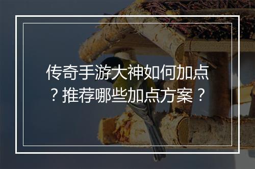 传奇手游大神如何加点？推荐哪些加点方案？