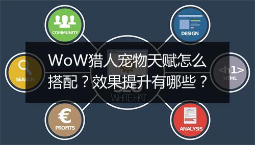 WoW猎人宠物天赋怎么搭配？效果提升有哪些？
