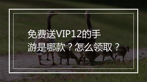 免费送VIP12的手游是哪款?怎么领取?