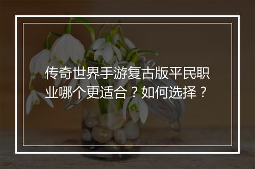 传奇世界手游复古版平民职业哪个更适合？如何选择？
