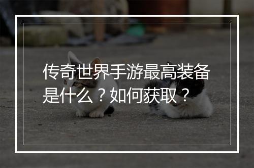 传奇世界手游最高装备是什么？如何获取？
