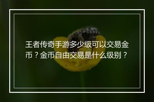 王者传奇手游多少级可以交易金币？金币自由交易是什么级别？