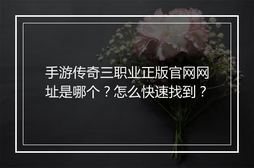 手游传奇三职业正版官网网址是哪个？怎么快速找到？