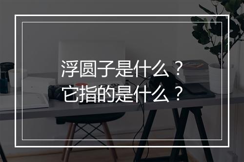 浮圆子是什么？它指的是什么？