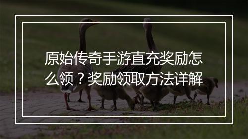 原始传奇手游直充奖励怎么领？奖励领取方法详解